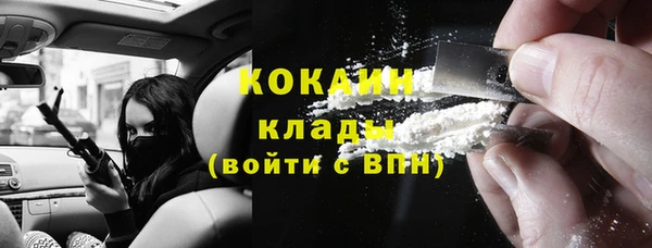 дурь Богородицк