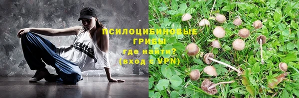 прущая мука Богданович
