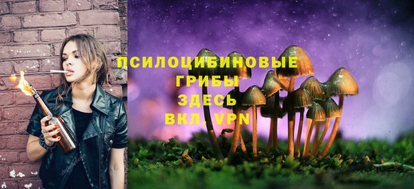 прущие крисы Баксан